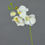 Ramo di orchidea Phalaenopsis di plastica MINA, bianco, 55cm