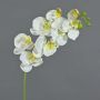 Ramo di orchidea Phalaenopsis di plastica MINA, bianco, 70cm