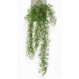 Cactus rhipsalis pilocarpa finto PUEBLA su stelo, verde, 75cm