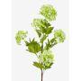 Ramo di viburnum artificiale ZENIA, verde chiaro, 85cm
