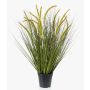 Erba di coda di volpe decorativa CAREL con pannocchie, verde, 70cm