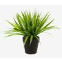 Cannuccia di palude artificiale ARIANO, verde, 30cm