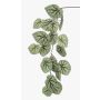 Ramo di begonia rex finta MEIRA, verde-grigio, 110cm