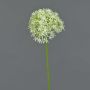 Allium finto ARNAU, verde crema, 60cm