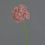 Allium finto ARNAU, fucsia, 60cm