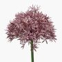 Allium finto ARNAU, viola, 60cm