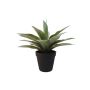 Agave artificiale DESIREE, verde, 20cm, Ø25cm