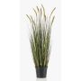 Erba di coda di volpe decorativa ANAELLA con pannocchie, verde, 90cm