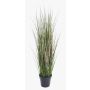 Erba coda di volpe finta SAMMI, verde, 65cm