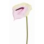 Fiore artificiale "fiore di fenicottero" MOIRA, rosa crema, 75 cm, 13x18 cm