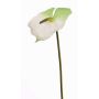Fiore artificiale "Flamingo" MOIRA, bianco-verde, 75 cm, 13x18 cm