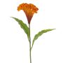Fiore artificiale cresta di gallo ANUBIS, arancione, 60 cm, Ø 14 cm