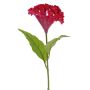 Fiore artificiale cresta di gallo ANUBIS, viola-rosso, 60 cm, Ø 14 cm