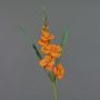 Gladio decorativo ELEA, arancione, 80 cm, Ø 7-9 cm