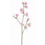 Fiore decorativo Lathyrus ASFALOTH, rosa, 65 cm, Ø 3-5 cm