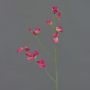 Fiore decorativo Lathyrus ASFALOTH, rosa shocking, 65 cm, Ø 3-5 cm