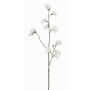 Fiore decorativo Lathyrus ASFALOTH, bianco, 65cm, Ø3-5cm