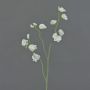 Fiore decorativo Lathyrus ASFALOTH, bianco, 65 cm, Ø 3-5 cm