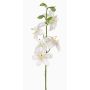 Giglio tigrato sintetico ASHANTI, bianco, 60cm, Ø10cm