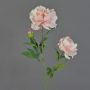 Peonia artificiale ONYX, rosa crema, 75 cm, Ø 10-13 cm