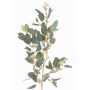 Ramo decorativo di eucalipto COBAR, in fiore, crossdoor, verde, 65cm, Ø1,5cm
