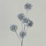 Fiordaliso artificiale BIRNA, glitterato, argento, 55 cm, Ø 5 cm