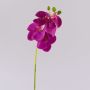 Ramo decorativo di orchidea Phalaenopsis OPHELIA, rosa, 40 cm, Ø 7-8 cm