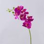 Ramo decorativo di orchidea Phalaenopsis OPHELIA, rosa shocking, 80 cm, Ø 8-9 cm