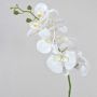 Ramo decorativo di orchidea Phalaenopsis OPHELIA, bianco, 80 cm, Ø 8-9 cm
