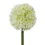 Fiore artificiale Allium MENKES, bianco, 65 cm