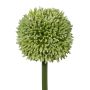 Fiore artificiale Allium MENKES, verde, 65 cm
