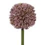 Fiore artificiale Allium MENKES, lilla, 65 cm