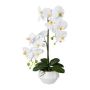 Orchidea Phalaenopsis artificiale KASDA, vaso in ceramica, radici, bianco, 50 cm