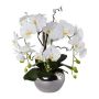 Composizione di orchidee artificiali e salice a spirale LULUDI, vaso in ceramica argento, radici bianche, 55cm
