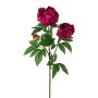 Ramo di peonia artificiale SLORVE, cerise, 70 cm