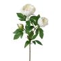 Ramo di peonia artificiale SLORVE, bianco, 70 cm