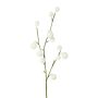 Ramo artificiale di euforbia a palloncino BRAVON, con frutti, bianco, 80cm