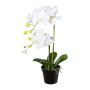 Orchidea Phalaenopsis artificiale WENJAN, vaso decorativo, radici, bianca, 55 cm