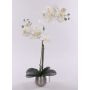 Orchidea Phalaenopsis in tessuto KAREN, vaso decorativo, effetto ghiacciato, bianco, 50 cm