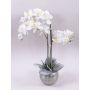 Orchidea Phalaenopsis in tessuto KAREN, vaso decorativo, effetto ghiacciato, bianco, 60cm