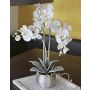 Orchidea Phalaenopsis in tessuto KAREN, vaso decorativo, effetto ghiacciato, bianco, 60 cm