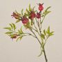 Ramo di rosa canina artificiale VIVEKA con cinorrodi, rosso, 45cm