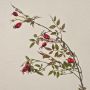 Ramo di rosa selvatica artificiale WARDALIA con cinorrodi, rosso, 95 cm