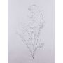 Ramo di salice artificiale DONATELLA, argento, 95cm