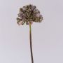 Fiore decorativo ortensia MANDISA, verde-rosa, 45 cm, Ø 16 cm