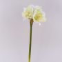 Fiore artificiale Amaryllis MARKUNO, bianco crema, 65 cm, Ø 13 cm