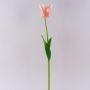 Fiore in plastica tulipano pappagallo PETSCHORA, albicocca-rosa, 65 cm