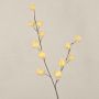 Ramo decorativo di Gomphocarpus ELAENA, frutti, beige-viola, 100 cm