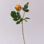 Rosa in velluto RENESMEE, giallo-rosso, 45 cm, Ø 6 cm