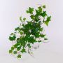Edera artificiale MAIDYS su stelo, verde, 50cm